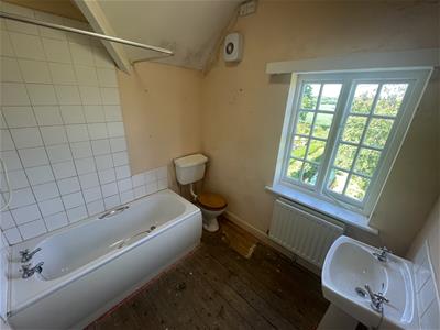 Picture 11